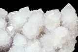 Cactus Quartz (Amethyst) Cluster - Large Crystals #62965-2